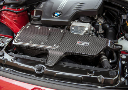 AWE - S-FLO Carbon Fiber Intake for BMW N20 / N26