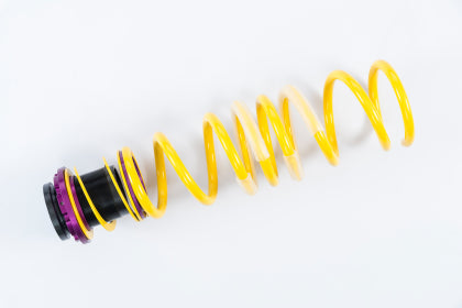 KW - H.A.S. Lowering Springs for BMW M5 / M550i